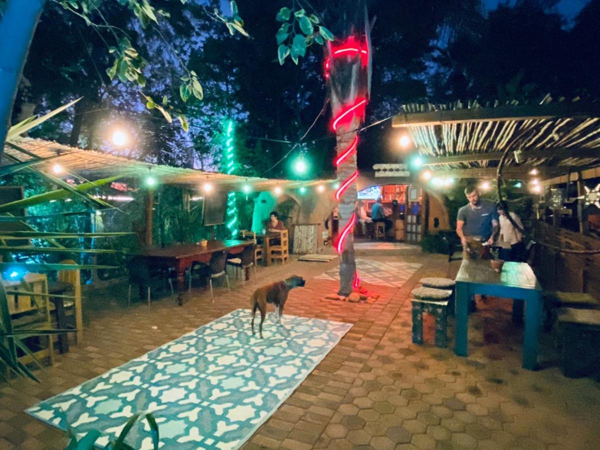 Karoozin Village オーツホーン エクステリア 写真